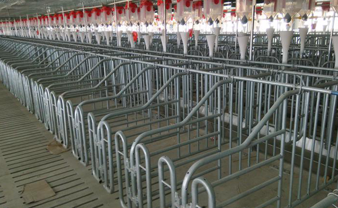 1607394288716985.png 定量杯1.png