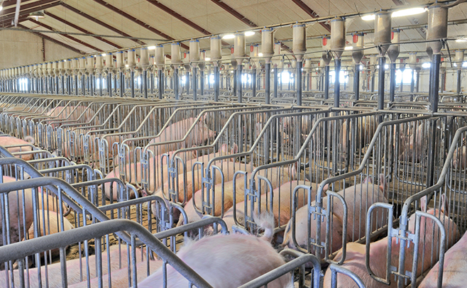 1607394383473918.png 干料線2.png