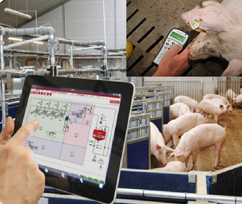 液態(tài)料 液態(tài)料